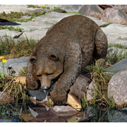 Image Thumbnail for DT CATCH OF THE DAY BEAR STATUE